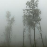 image from the film Costa da Morte