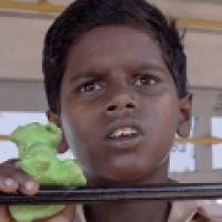 image from the film Pebbles